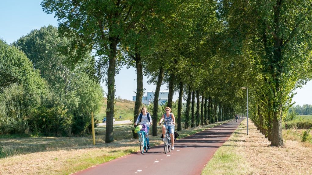 Pieckelaan – a scenic old road turned into a cycle highway. Photo credit: Province Gelderland.