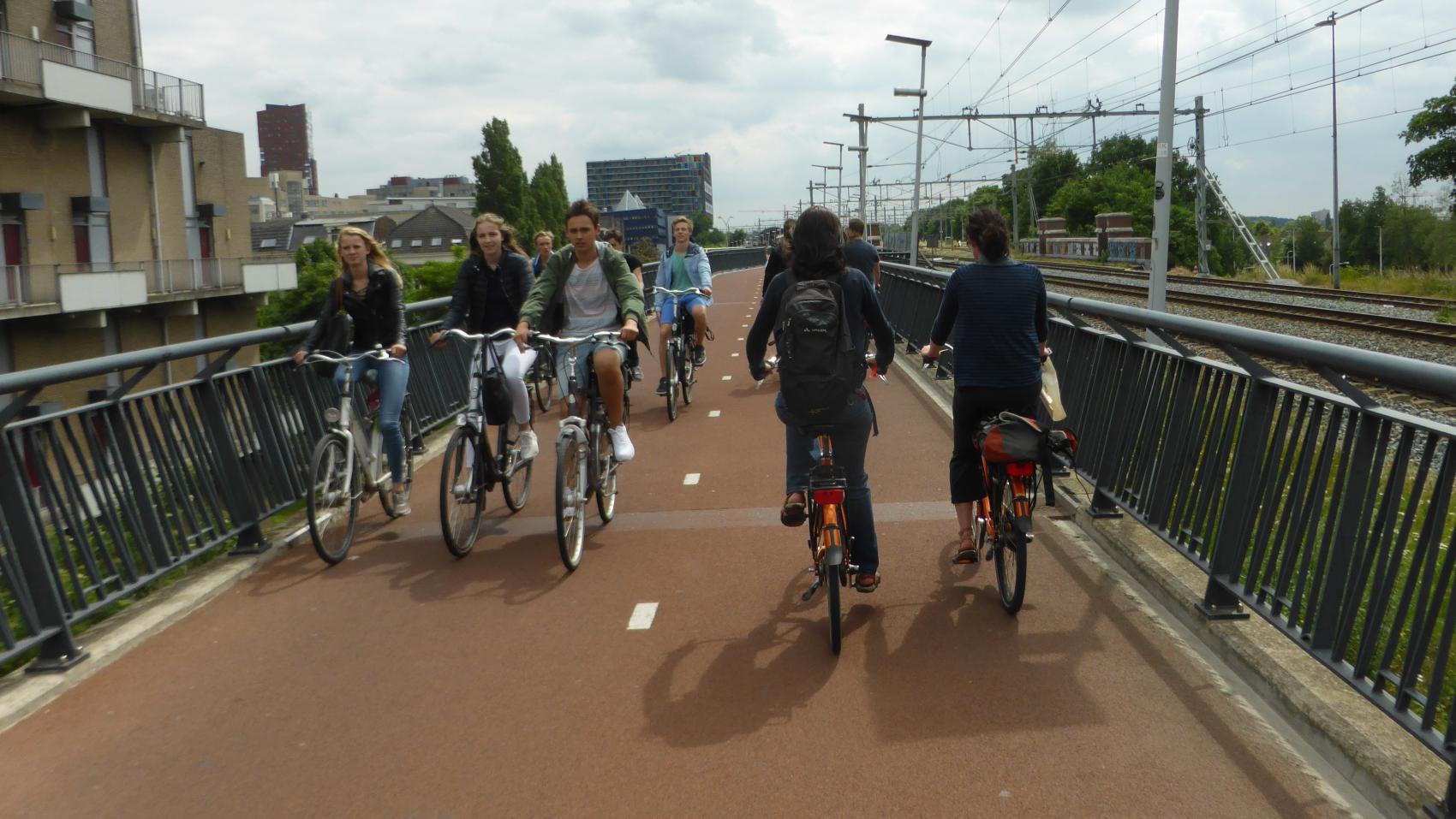 The railings bend outwards and have widest clearance at the level of typical bicycle handlebar, reducing the risk of collision and providing more space without increasing the width of the bridge itself.