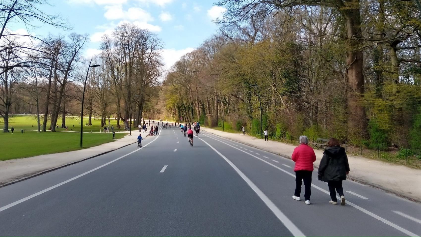 Banning cars on 5 km of roads leading through Ter Kamerenbos in Brussels created safe space for recreation for thousands of people.
